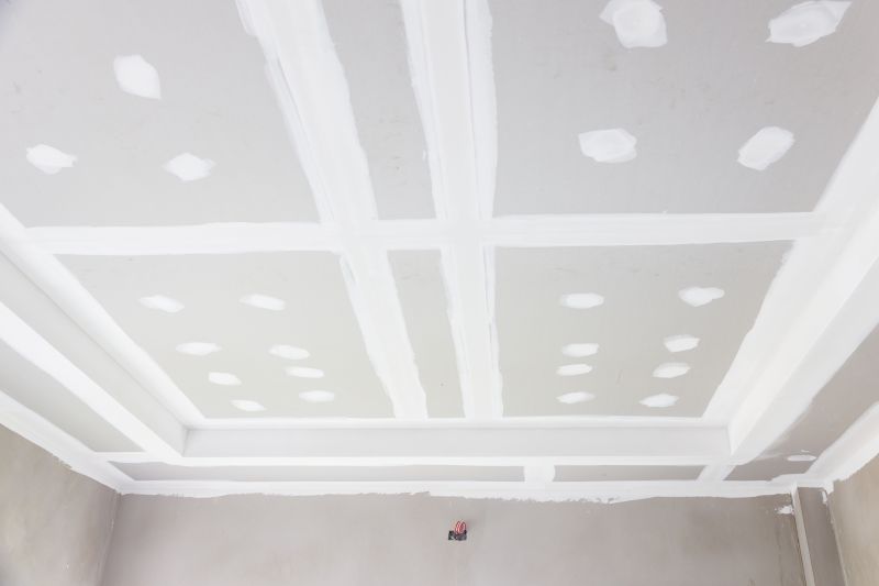 Ceiling Drywall Repair in Conroe, TX