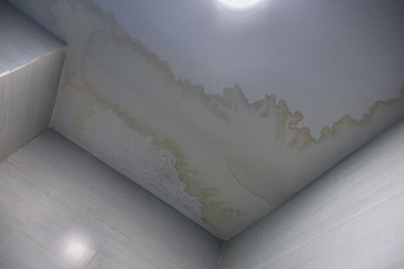 Ceiling Water Damage Repair in Wilmington, NC